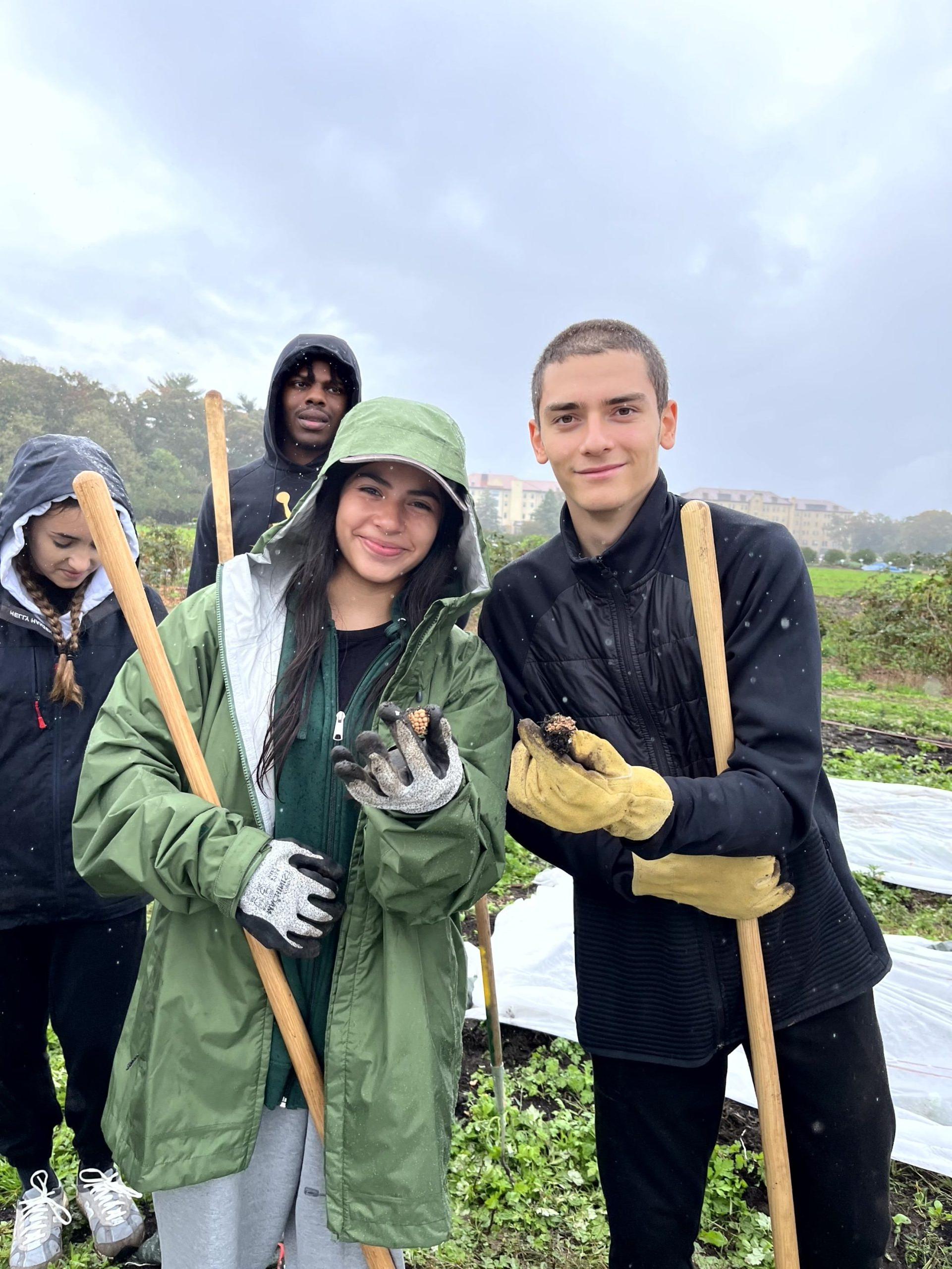 Knox Service Learning - Healthy Harvest Farm